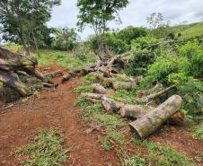 Batalhão Ambiental da PM flagra crimes ambientais em Altamira e Maringá. 