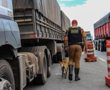 PM reforçará o policiamento no Litoral durante os feriados. 