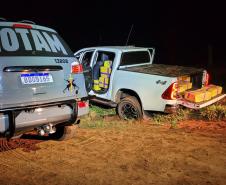 Polícia Militar apreendem 940 quilos de maconha em área rural de Querência do Norte. 
