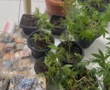 Drogas, armas e dinheiro em Paranaguá
