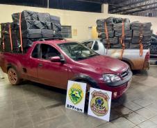 Cigarros OP. Conjunta