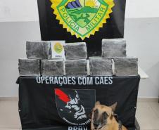 Maconha é apreendida em Curitiba