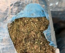 A carga incluía 50 pacotes de capulho e 7 fardos de maconha prensada