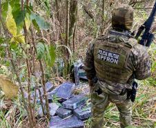 Foram encontrados e apreendidos aproximadamente 469,5 kg de maconha