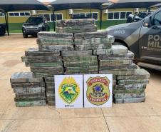 Foram encontrados e apreendidos aproximadamente 469,5 kg de maconha