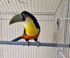 PMPR
