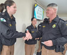 confraternização