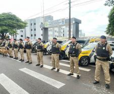 FORÇA TOTAL BRASIL IX