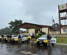 FORÇA TOTAL BRASIL IX