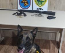 As armas e munições apreendidas foram apresentadas à autoridade policial para as providências cabíveis