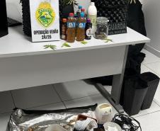 MNo endereço indicado e localizaram os pés de maconha, além de materiais utilizados para o cultivo da planta.