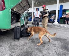 A Operação Cannis Fortis mobilizou todos os batalhões e unidades da corporação que possuem cães policiais
