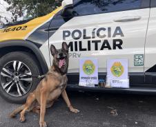A Operação Cannis Fortis mobilizou todos os batalhões e unidades da corporação que possuem cães policiais