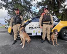 A Operação Cannis Fortis mobilizou todos os batalhões e unidades da corporação que possuem cães policiais