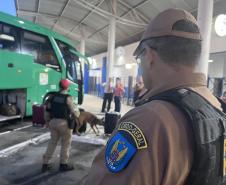 A Operação Cannis Fortis mobilizou todos os batalhões e unidades da corporação que possuem cães policiais