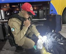 A Operação Cannis Fortis mobilizou todos os batalhões e unidades da corporação que possuem cães policiais