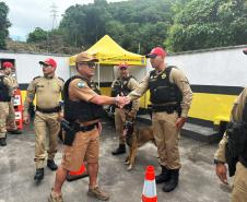 Operação Carnaval 2025: Polícia Militar do Paraná reforça segurança nas rodovias do estado