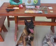 Polícia Militar do Paraná cumpre mandados de busca e apreensão em Santo Antônio da Platina