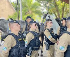 A atuação da PMPR contou com diversas modalidades de policiamento