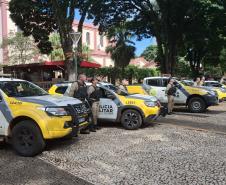 Operação Força Total XII