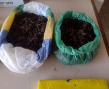 Polícia Militar do Paraná apreende 1,6 quilos de maconha em ação na Zona Norte de Londrina