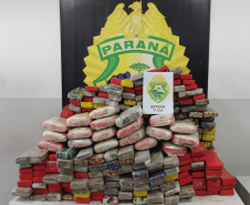 BPTran apreende 279 kg de maconha após veículo capotar na região sul de Curitiba
