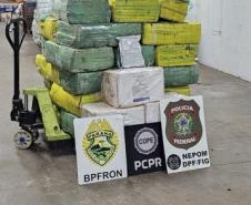 Polícia Militar do Paraná apreende quase uma tonelada de maconha em São Miguel do Iguaçu