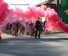 O curso, que teve início em 5 de maio e se estendeu até 11 de junho de 2025, totalizou cerca de 315 horas de instruções teóricas e práticas