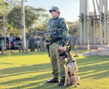 Atuação conta com drones, cães e helicópteros para ampliar a presença policial