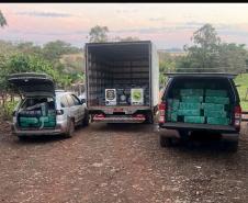 Polícia Militar do Paraná apreende mais de quatro toneladas de maconha em Santa Helena