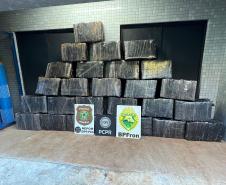 Ação integrada entre PMPR, PCPR e PF resulta na apreensão de 732 kg de maconha em Foz do Iguaçu