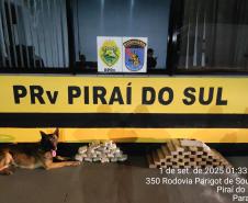 PMPR apreende entorpecentes em diferentes ônibus que seguiam para fora do Paraná
