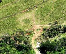 Operação Mata Atlântica em Pé: PMPR aplica mais de R$ 19 milhões em multas