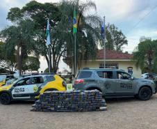 PMPR apreende quase 5 toneladas de maconha em dois meses no Noroeste do Estado