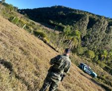Batalhão Ambiental da PMPR inova e usa satélite e drones para fiscalizar crimes ambientais no Paraná