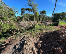 PMPR flagra desmatamento e loteamento irregular de terrenos no Ganchinho, em Curitiba