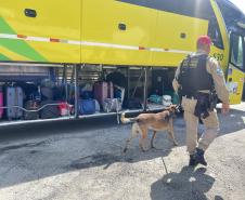 O objetivo maior de preservar vidas e garantir que os cidadãos possam se deslocar com segurança durante as festividades de fim de ano