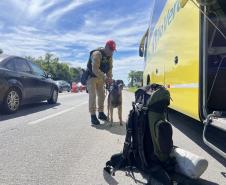 O objetivo maior de preservar vidas e garantir que os cidadãos possam se deslocar com segurança durante as festividades de fim de ano