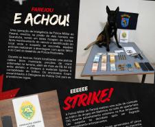 Informativo OV Edição 04