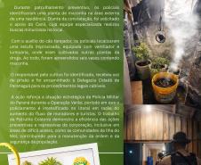 Informativo OV Edição 04