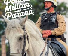 Ao longo de toda a operação, o informativo seguirá com divulgação semanal, destacando o trabalho técnico, humano e profissional dos homens e mulheres da PMPR