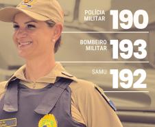 Ao longo de toda a operação, o informativo seguirá com divulgação semanal, destacando o trabalho técnico, humano e profissional dos homens e mulheres da PMPR