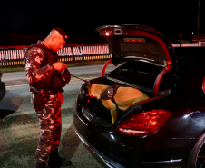 PMPR promove fiscalização integrada com apoio de cães em rodovias do Litoral