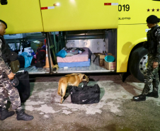 PMPR promove fiscalização integrada com apoio de cães em rodovias do Litoral