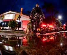 PMPR promove fiscalização integrada com apoio de cães em rodovias do Litoral