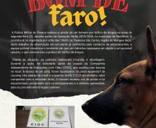 Com periodicidade semanal ao longo de toda a operação, o informativo tem como propósito ampliar a divulgação das ações realizadas pelas unidades operacionais, além de apresentar as ocorrências de maior relevância registradas durante o período.