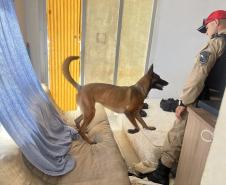 O objetivo principal foi desarticular pontos de tráfico no bairro Tabuleiro