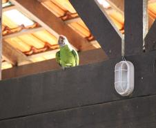 Banda da PMPR encanta público em apresentação inédita na Ilha do Mel