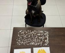 Ação integrada da PMPR resulta na prisão de cinco suspeitos e apreensão de drogas em Matinhos