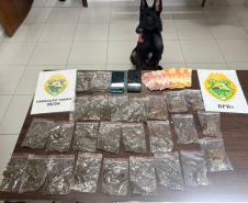 No interior do objeto foram encontradas 19 porções de maconha, totalizando 74 gramas, além da quantia de R$ 115,00 em dinheiro